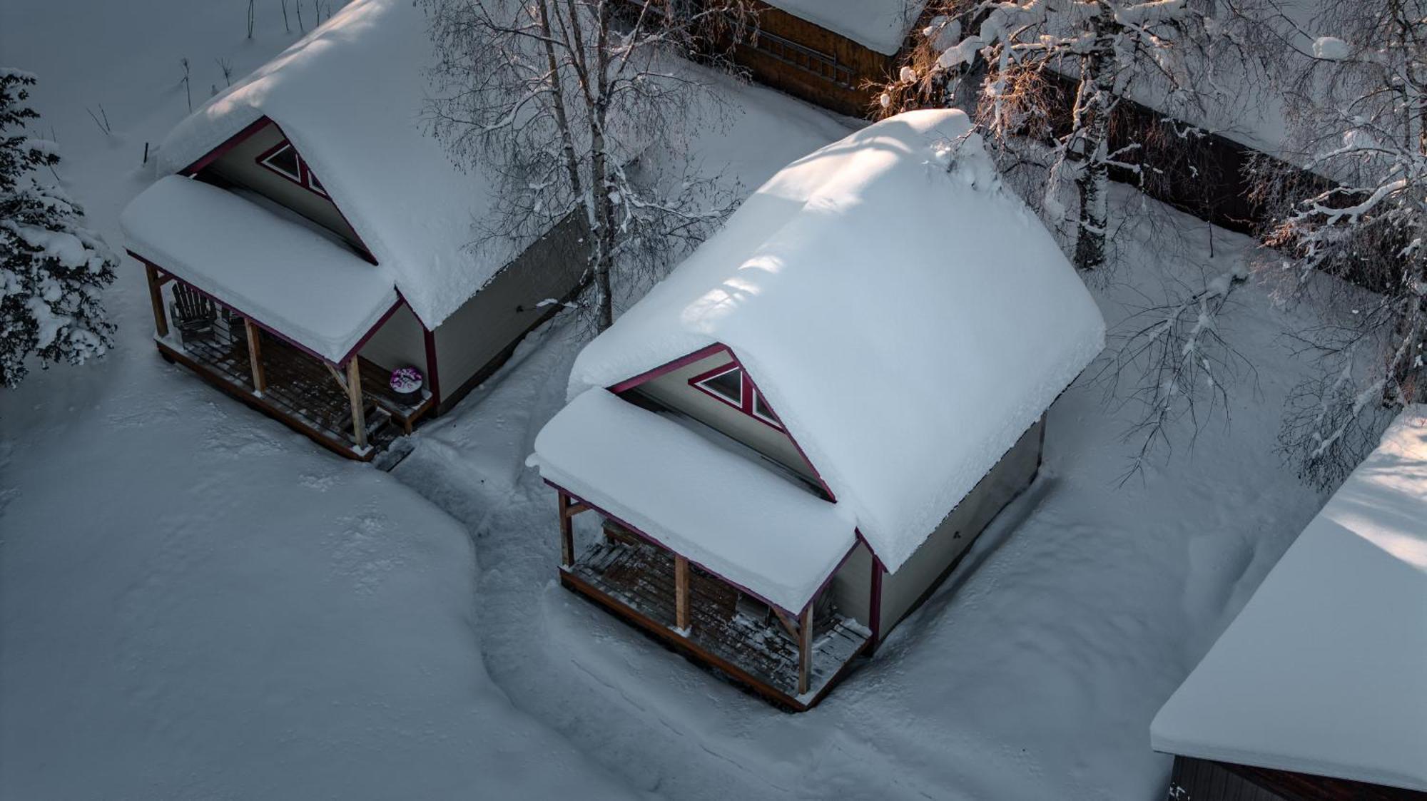 Downtown Talkeetna Cabin! Susitna Cabin Exterior foto